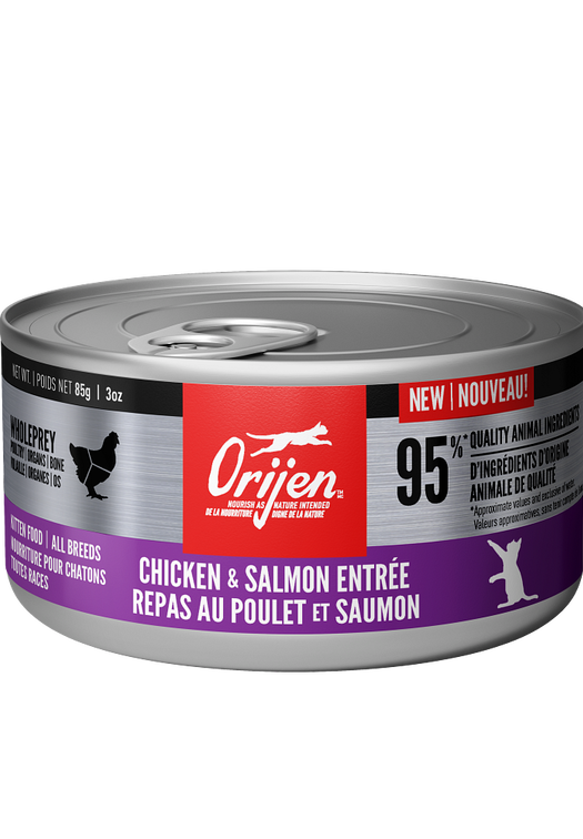 Repas au poulet et saumon pour chatons